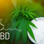 CBD Cream: Topical Solutions for Pain Relief